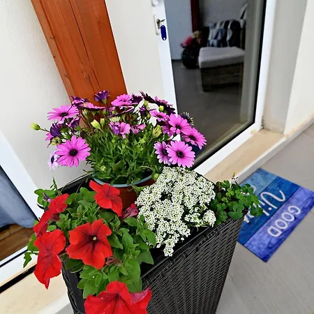 Daire Kalamata Suites *