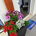 Apartamento Kalamata Suites *